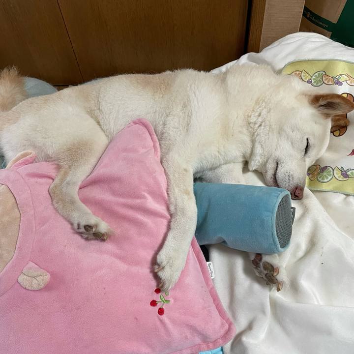 7bd8d850 f3c9 46b8 99f8 1685acb5b3b3 1634099827475