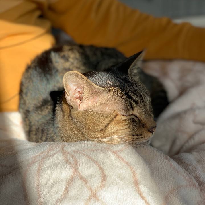 7bd8e263 34bb 4cef 9ae1 e242a7e5688a 1573866056340