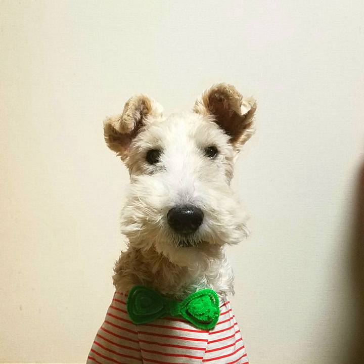 7bd8f633 ddd1 4efb bd9e 67cbe45474c7 1509368164383