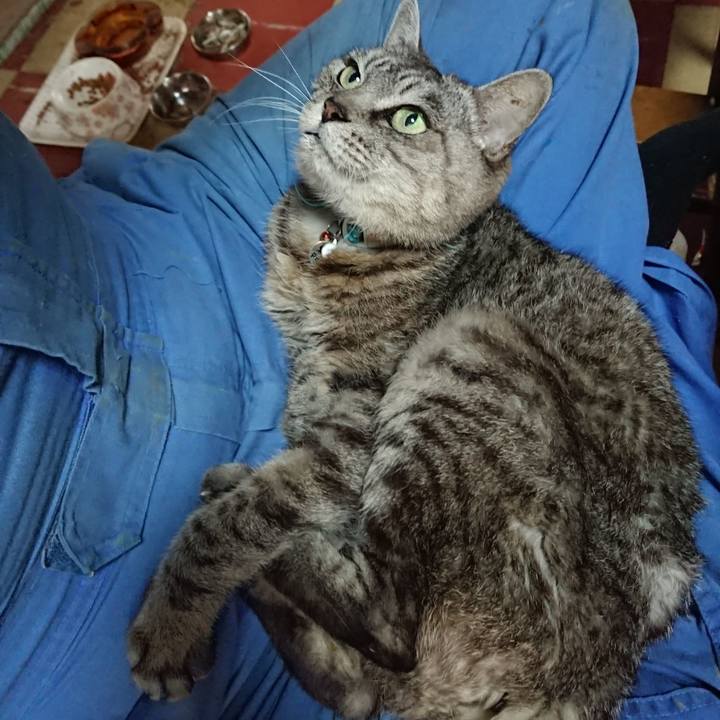 7bd93984 cd5b 480e 9d7d 9f48400ff636 1571453389374