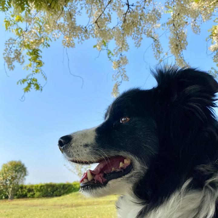 7bd9b2b1 fb39 4292 abfb e07b704a95ef 1650413480285