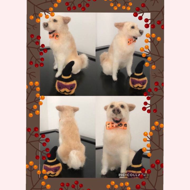 7bd9bcca de14 4d1e 9f4f b0b4a96271fb 1537439261143