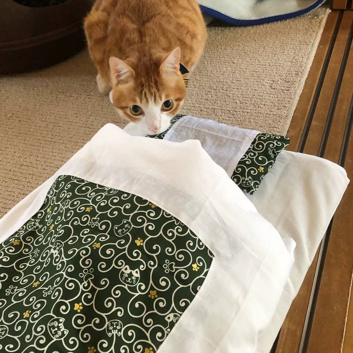 7bd9f831 c103 427c 939f 9fc4276e1784 1542435831860