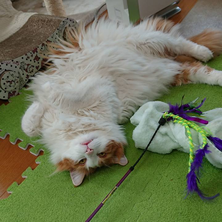 7bda25ed 2f05 43b5 a471 f2ac49d06dcc 1558053160883