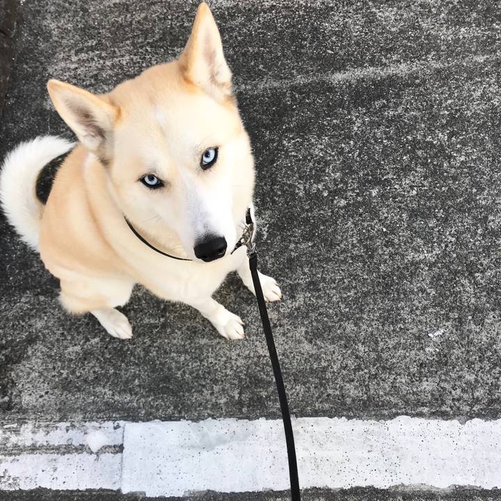 7bda3329 695d 402d 88da 1bb6131d2806 1518313278665