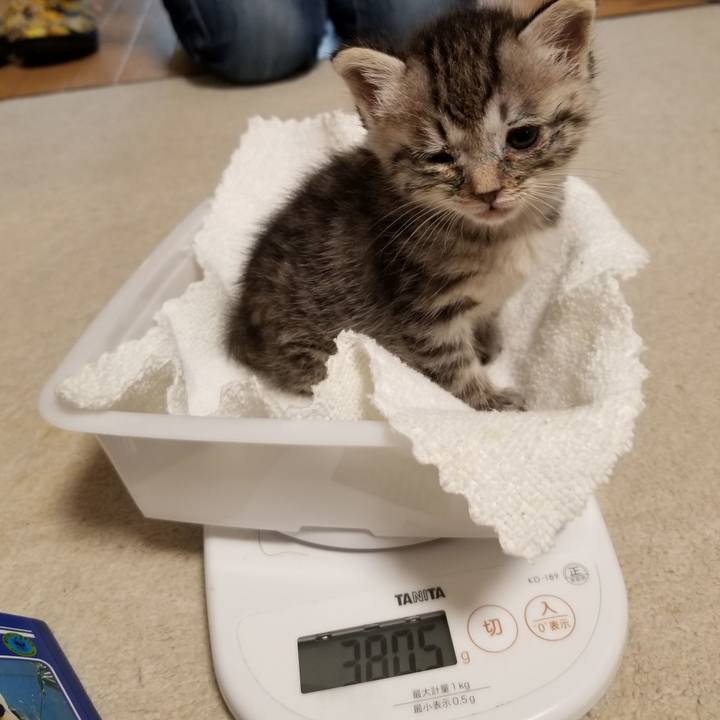 7bda3d42 283e 4b3a aa3f b775fb0a640b 1660171034590