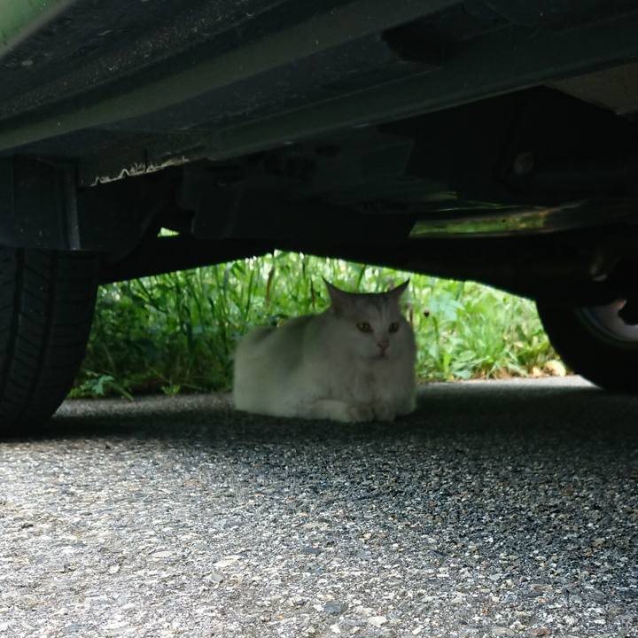 7bda4cda 41e3 43a8 9b9b 72a614727017 1568068048259