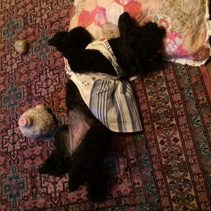 7bda544a bf41 43d1 b506 d5a46e541968 1560595284342