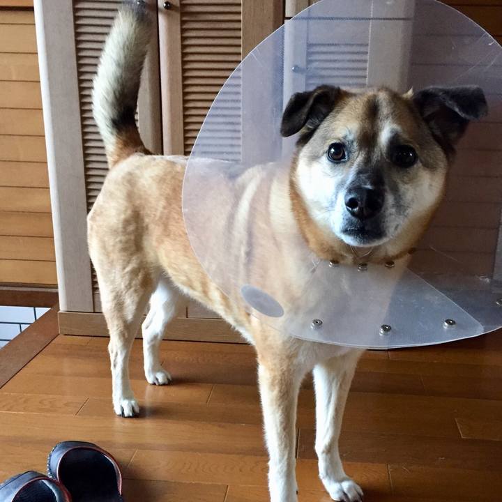 7bda677c 30a0 4d70 885b a9fea66a0433 1555832380771