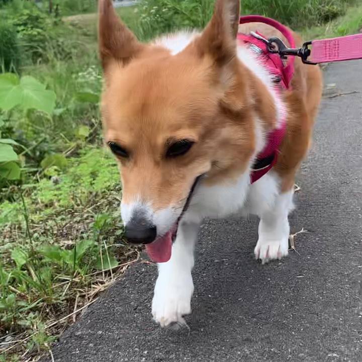 7bdaa72a 0d9c 4f08 815d b8e061df651a 1686293229263