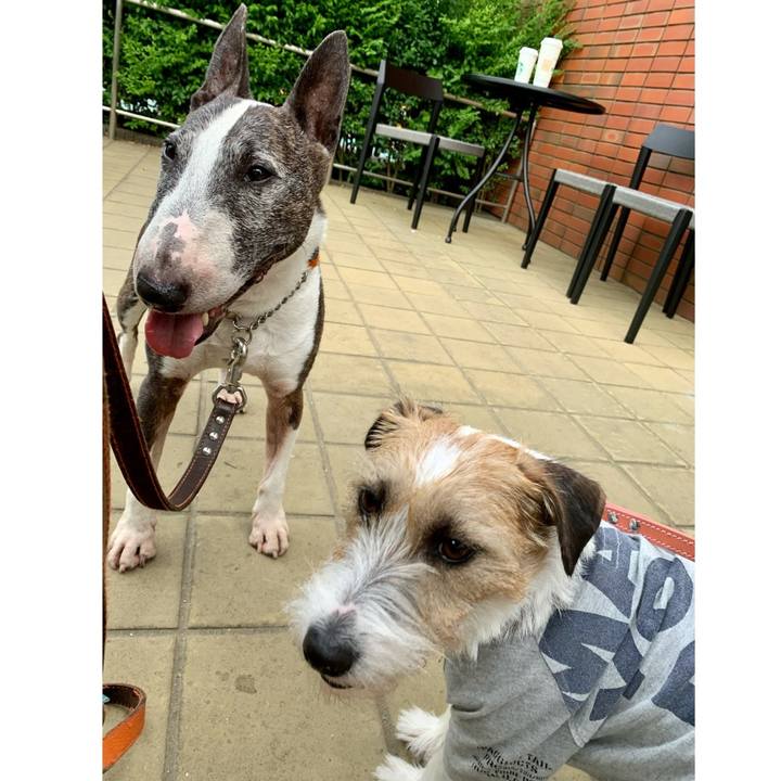 7bdab154 d100 4260 9ad8 78bc9195c422 1622721225833