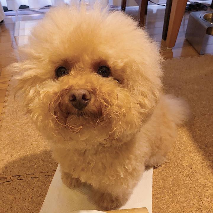 7bdab7e6 5980 4b16 84a6 1432c80aa4a3 1535100968931