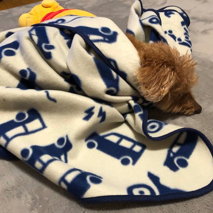 7bdac671 c0ba 488b 9557 a08dfca07d32 1578818866000