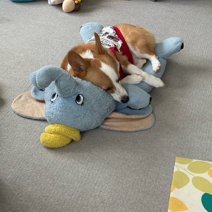 7bdaeeaa 7bc2 4994 8f90 fde469b3a88d 1761018675832