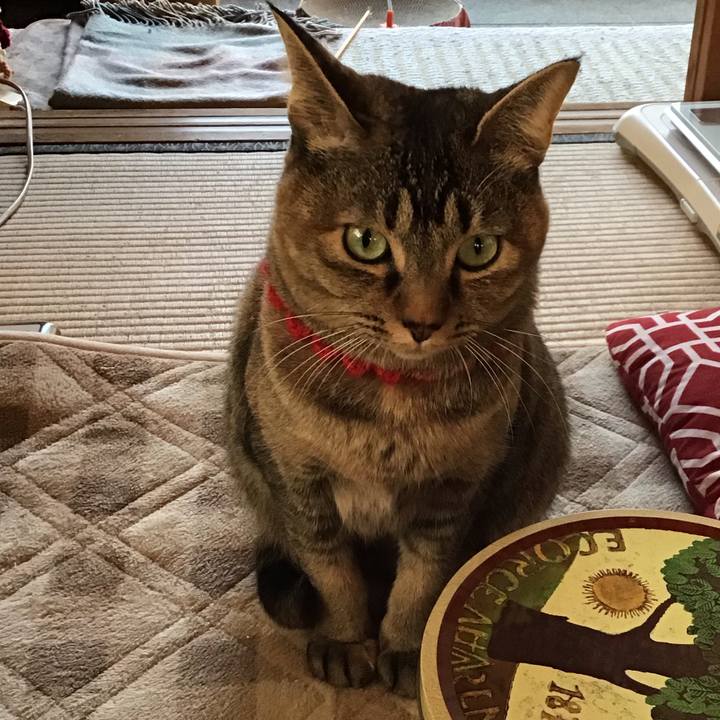 7bdb3a8c a199 4bc0 8190 53bae6bdebcc 1613863561722