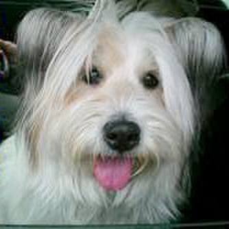 7bdb9826 d9b4 47d4 9bd4 b77a929a4c21 1582309401335