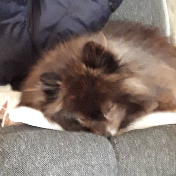 7bdbd508 ffc4 47a3 9565 5dbc20fd275e 1517982655285