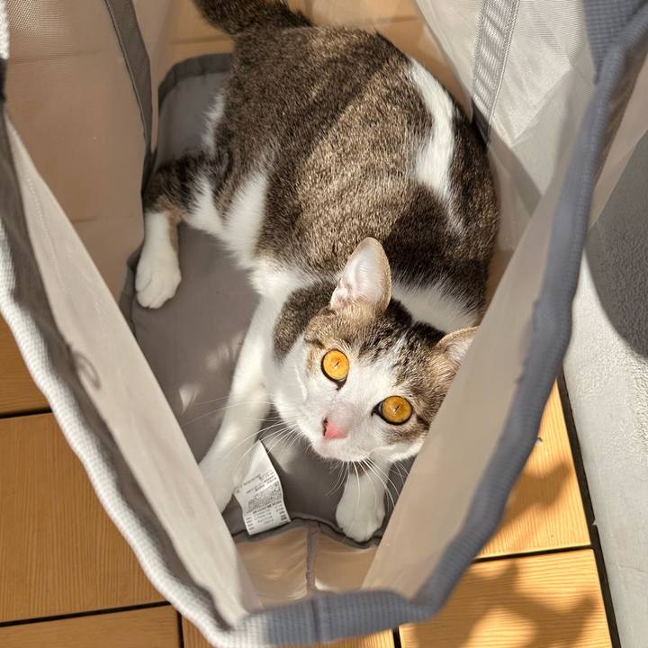 7bdbd698 f43b 4a94 9270 8f325906baec 1774573190759