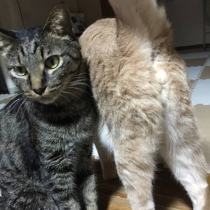 7bdbf683 e2c6 438e bf69 9b415ed75c53 1528799278785