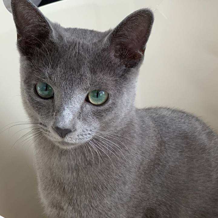 7bdc1029 211e 4248 acea 66ac2c248973 1574553055087