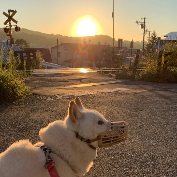 7bdc2983 1119 438a b1ab e88a30b422fd 1596919946211