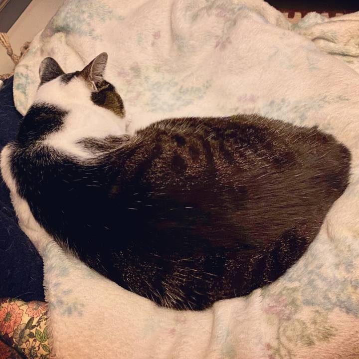 7bdc3e6b 1cc9 4faf a267 aa95746bd0f0 1614344274823