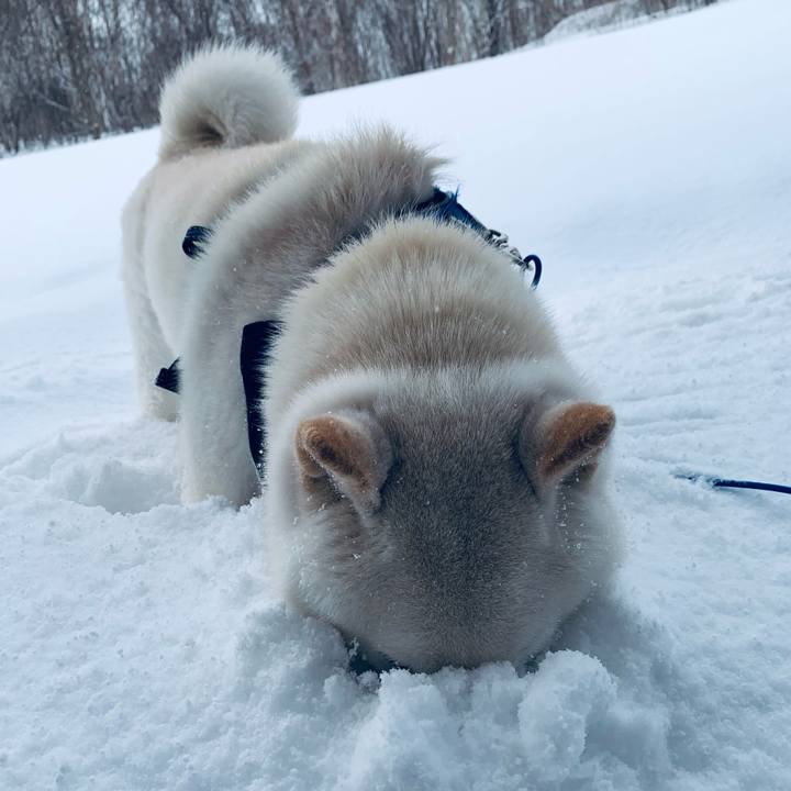 7bdc42d4 be0d 4796 b3a6 67d093391086 1645599686266