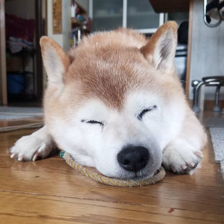 7bdc53f6 95f0 49bc bd14 e42361bee0b4 1705799007178