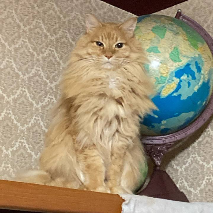 7bdc6e67 f921 4d8b 9698 362227d25b93 1767105311109