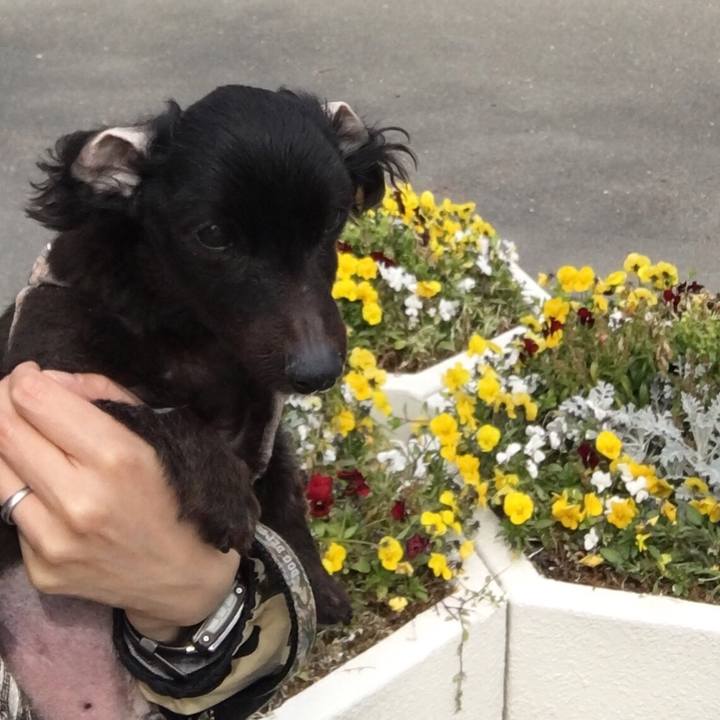 7bdc7aa5 5fbf 4fce bb93 f46b62df9201 1552542544283