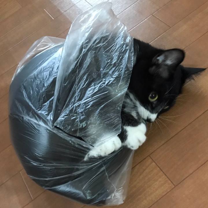 7bdc8228 c085 4c3c bb80 33de970de39f 1508903669148