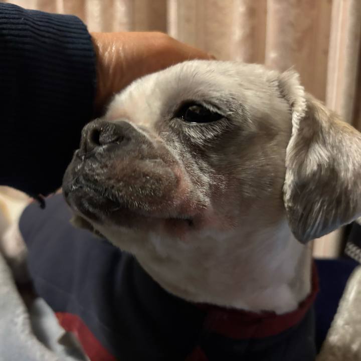 7bdc88be e2ff 481b 82fd 8883a1340b6d 1765230523834