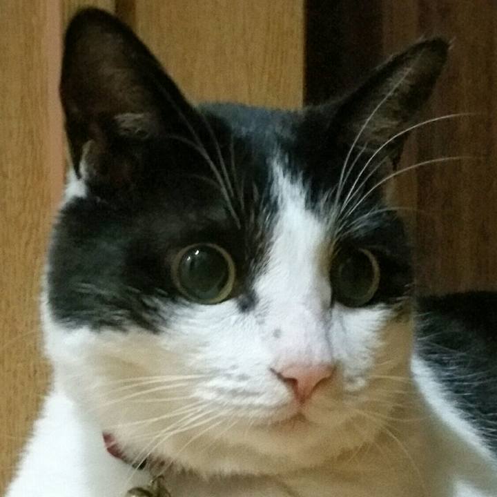 7bdcb9f7 903c 4c4f 80cf 5c69bd8ed835 1562399979115