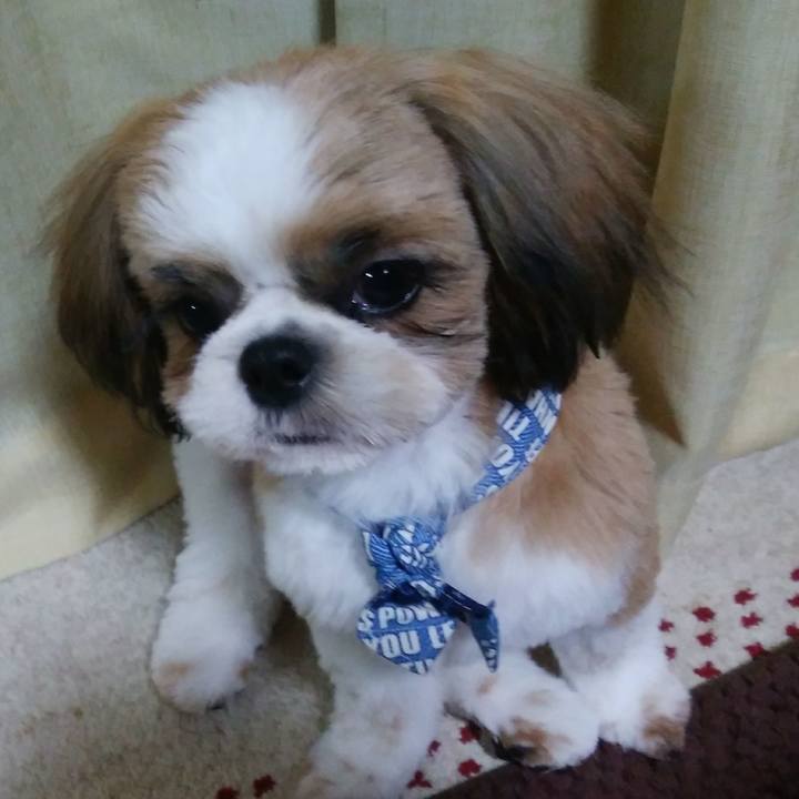 7bdccd74 8e01 47ec 80df feb89464d55c 1540203362449