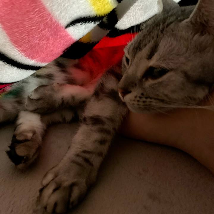 7bdcf8b3 b8d8 4cfd 9698 c9748bf86287 1607753239816