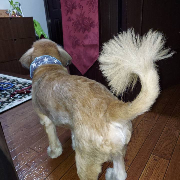 7bdd297c 1b52 4a8a b427 cc56f69479db 1667464787977