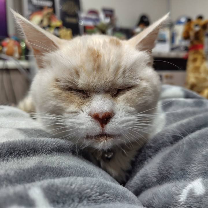 7bdd350c 377a 4058 a01b a76c285aeade 1715085809834