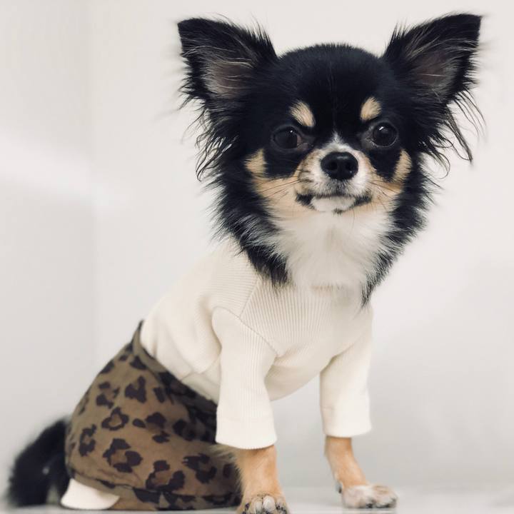 7bdd4d07 4aea 40fe a1df a74a15be8a6b 1541720094296