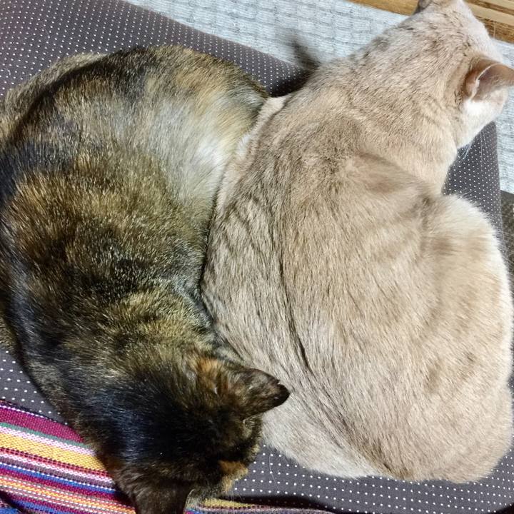 7bdd6f9a 360c 4612 82d8 32feb21d919b 1523363193099