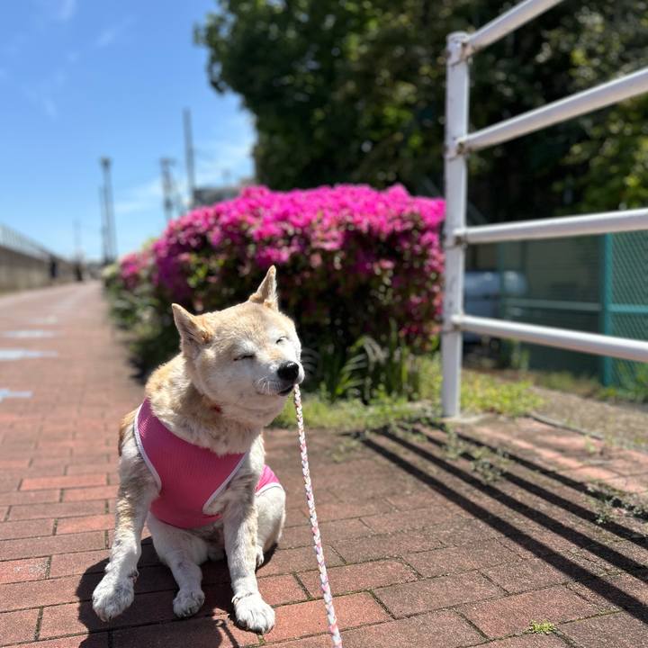 7bdd9dbf 86c7 422f 96e2 d474e41f2831 1746585506269