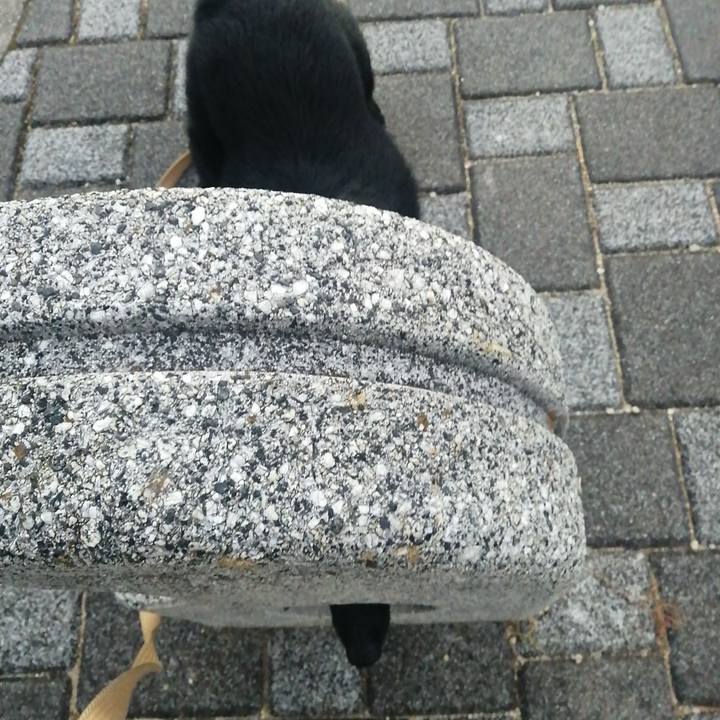 7bdd9e47 c155 452a adae 81a50168f9a0 1633553859082