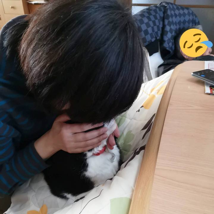 7bddc358 9696 4228 9b56 1aff4a52000c 1675658897033