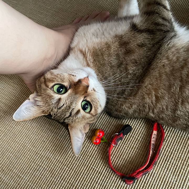 7bdddb2e 6383 47f4 878e 14806ae412ff 1720932997810