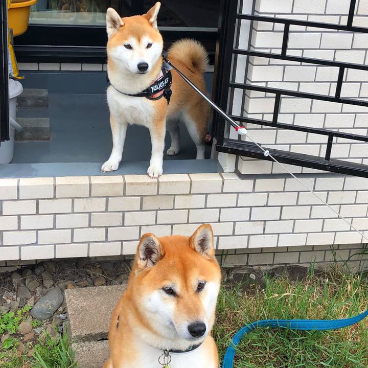 7bddf1a0 8129 46a8 adca 7d42567edbab 1592388340604