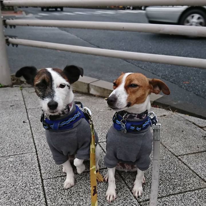 7bde61c5 0582 4752 8826 1e98d91ee431 1541715335378