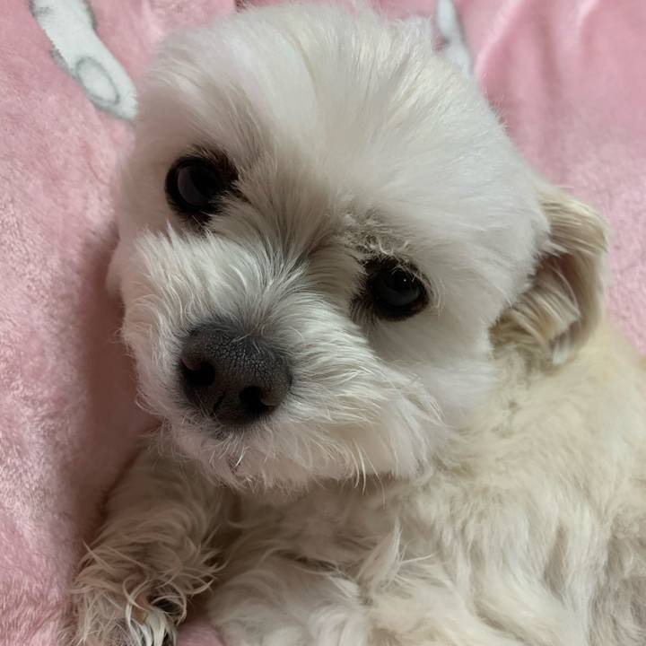 7bde9033 e000 4467 8cf4 27ad0c9c9f2a 1586688661591