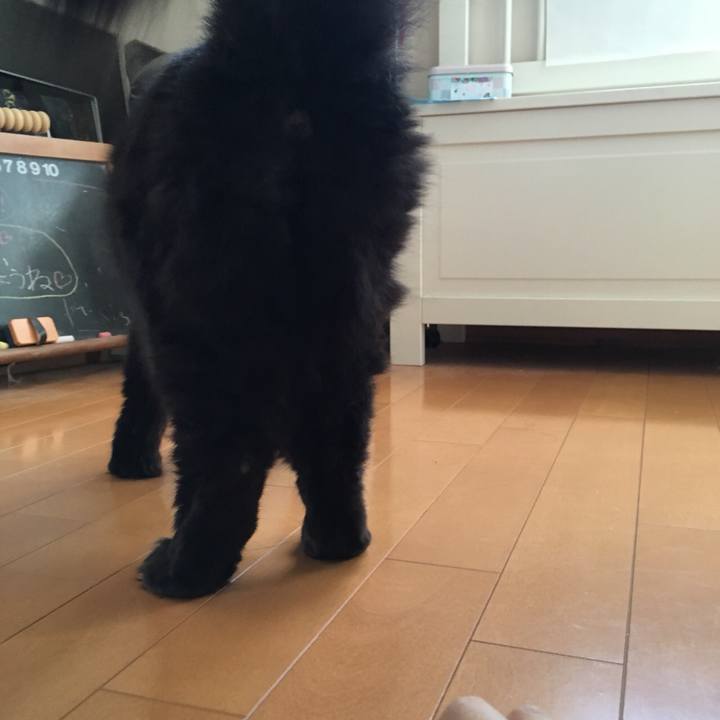 7bdf0025 140a 48ed 9637 b80491293c5b 1536140954666