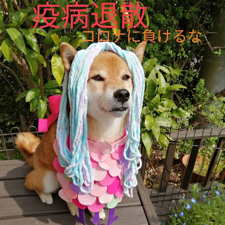 7bdf15b2 ddef 4f35 abc2 9bc13d235b97 1586406479163