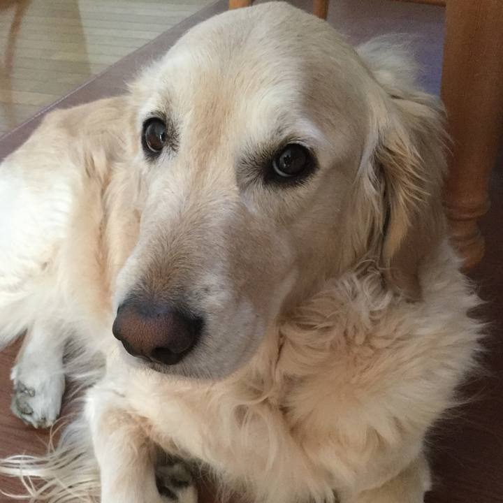 7bdf4793 50a6 4d4c 8712 d3de4f750bd4 1518906073610