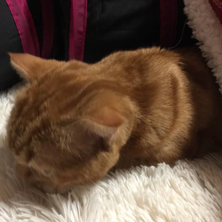 7bdf6631 7505 46e6 949a daa3a76dc6c9 1519603565925